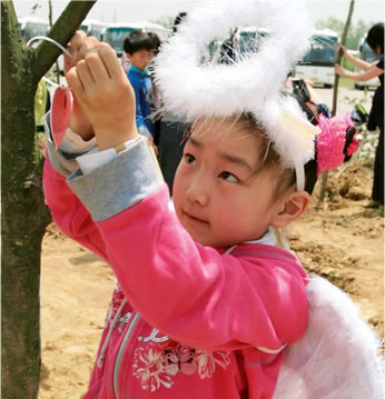  Learn more about Mary Kay’s tree-planting initiatives around the world.