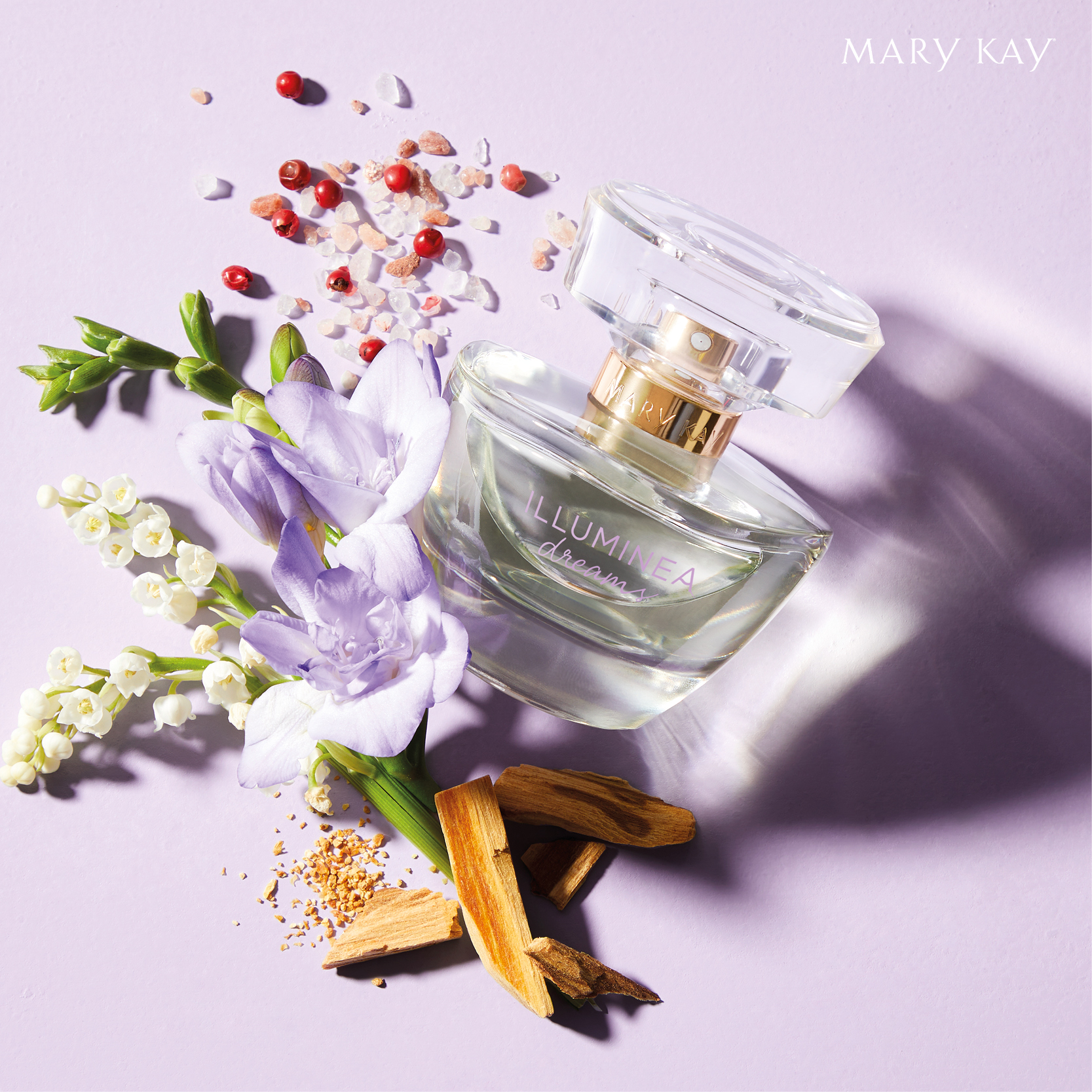 illuminea_dreams_photo