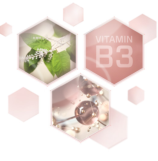 Three hexagons show images of a leafy green plant, round molecule-like structures and the words “Vitamin B3” to represent encapsulated resveratrol, an age-defying peptide and Vitamin B3, which are the three key ingredients in Mary Kay’s new TimeWise Miracle Set 3D skin care regimen.